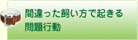 間違った飼い方で起きる問題行動