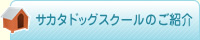 サカタドッグスクールのご紹介