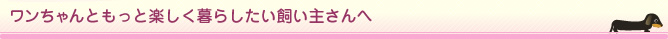 犬のしつけ・東京｜ワンちゃんともっと楽しく暮らしたい飼い主さんへ