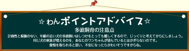 多頭飼育の注意点 計画性と根拠のない、年齢の近い犬の多頭飼いはしつけをとっても難しくするので、じっくりと考えてからにしましょう。同じ犬の家族が増えるのを、あなたのワンちゃんが望んでいるとはかぎらないのです。愛情を取られると思い、不安になったらかわいそうですからね。