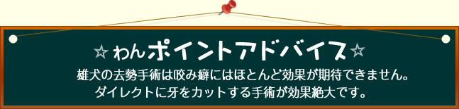 わんポイントアドバイス 雄犬の去勢手術は咬み癖にはほとんど効果が期待できません。ダイレクトに牙をカットする手術が効果絶大です。