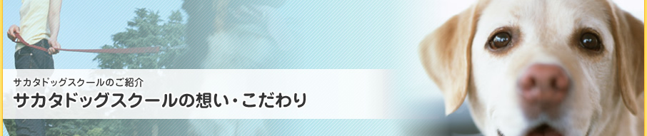 サカタドッグスクールのご紹介 サカタドッグスクールの想い・こだわり